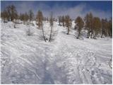 Planina Zajavornik - Mrežce